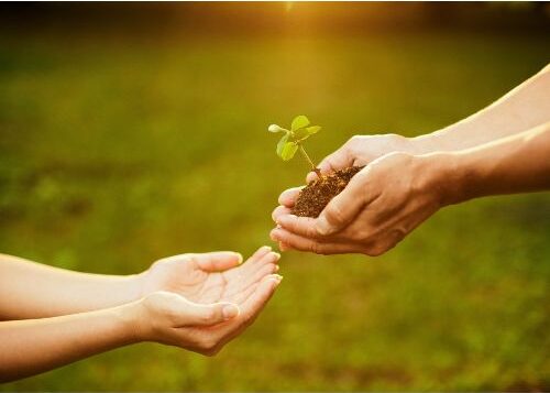 Illustrative picture of 2 hands, one handing to the other a plant.